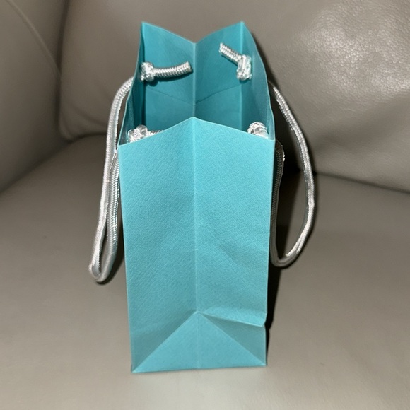 Tiffany shopping bag - Picture 2 of 2